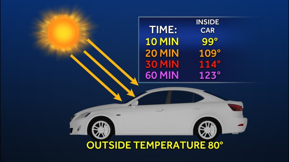 how hot does a car get in the sun